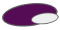 Purple / Transparent