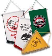 PNT1: Pennants