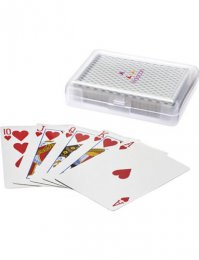 PL200: Playing Cards in Case