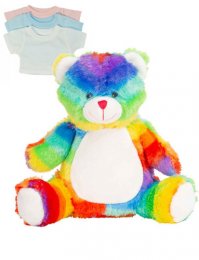 RTB60: Rainbow Teddy with Tee Shirt